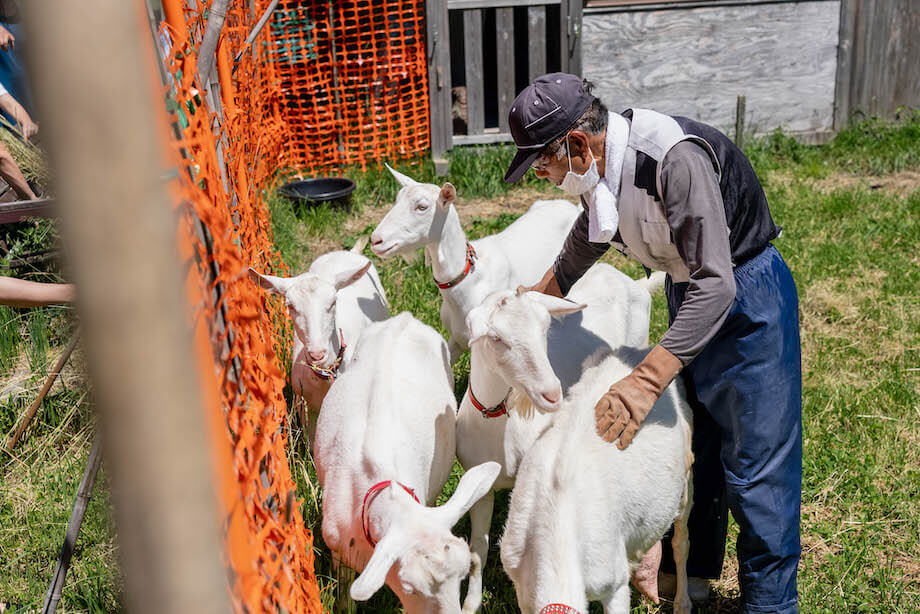乗鞍高原のおいしい空気と天然の牧草のみで育てられたヤギから毎朝絞られるミルクは格別。オーナーが食べ物や飼育環境にこだわることで、独特の臭みがなく、爽やかな後味を生み出します。