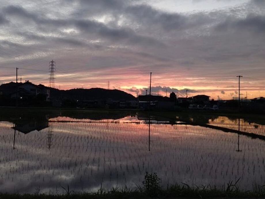 何もないと思える景色も、それを大切に守ってる人がいるから大事。（兵庫県神戸市 / @acky_sal）
