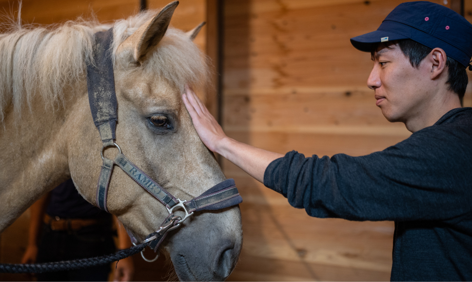 馬の優しい目や温かい体に癒されると、今度は人間の方から彼らにお返しをしたくなるので不思議　photo by mocchy