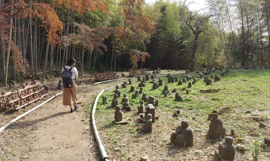 芝原さんの佐賀旅行の一コマ。地域の歴史や文化、自然へのワクワク・ときめきを大事にしながら各地域を訪れるそう