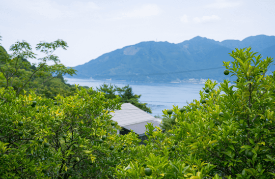 シェアして日下 浩辰さんを応援！