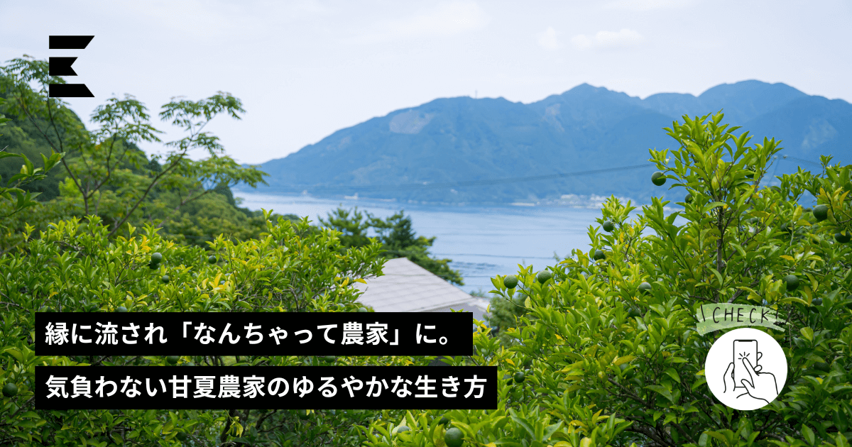 農家 縁に流され「なんちゃって農家」に。気負わない甘夏農家のゆるやかな