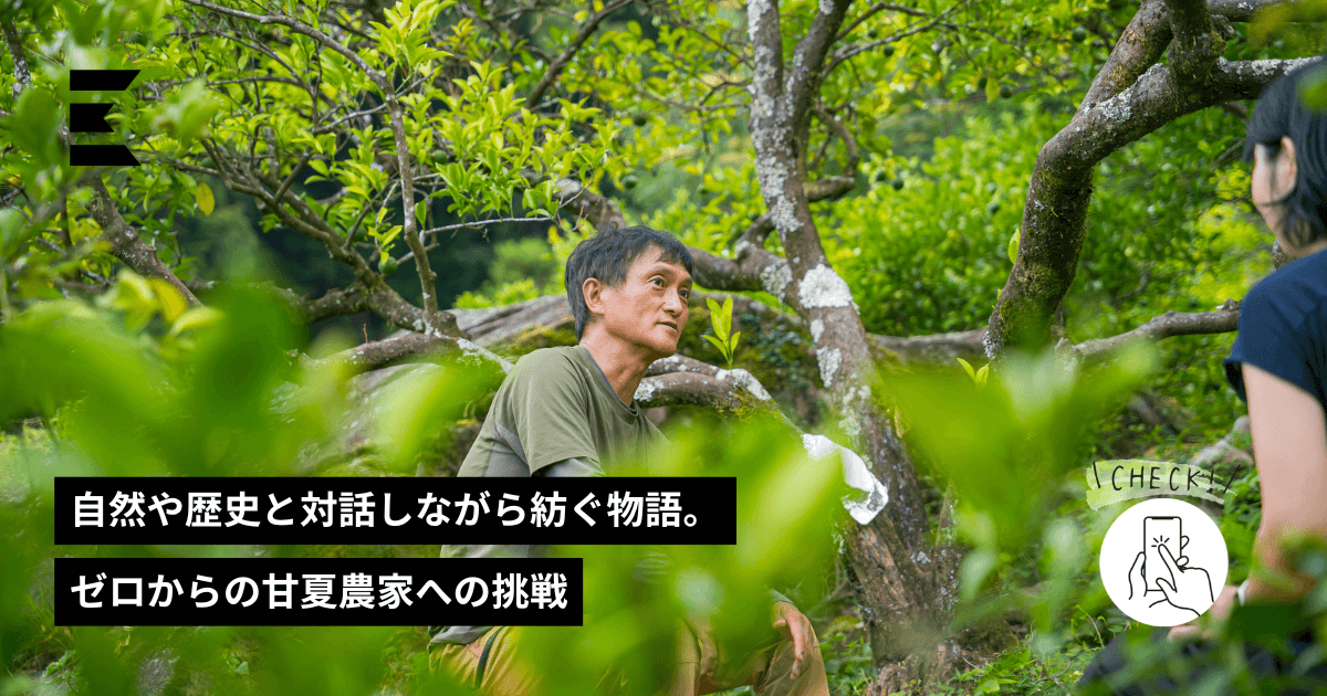 自然や歴史と対話しながら紡ぐ物語。ゼロからの甘夏農家への挑戦