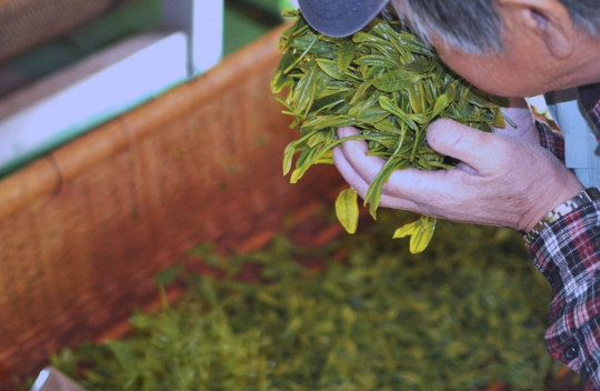 シェアして小松 元気さんを応援！