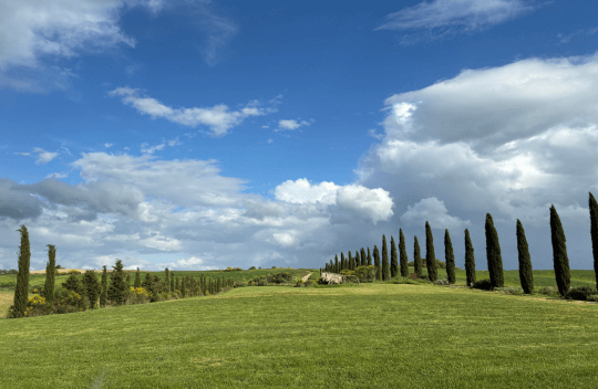 シェアして宮内 俊樹さんを応援！