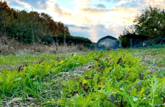 シェアして柳田大地さんを応援！