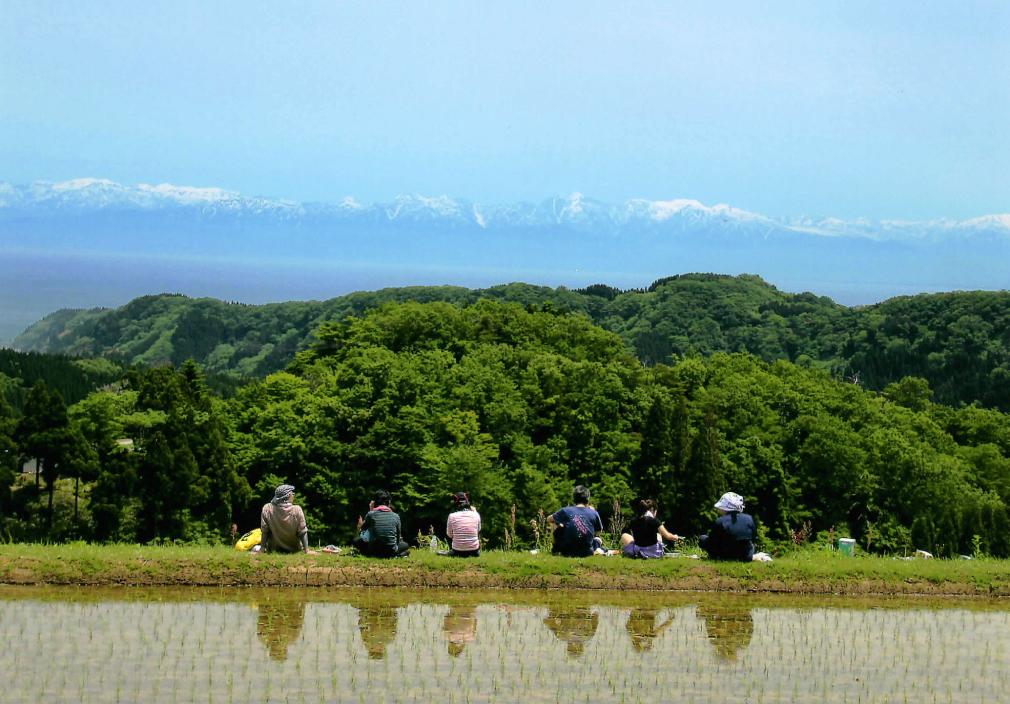 田んぼのあぜ道から立山連峰を眺める人々